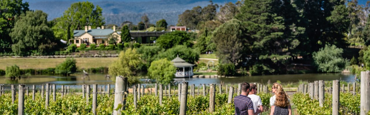 wine tours