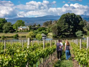wine tours