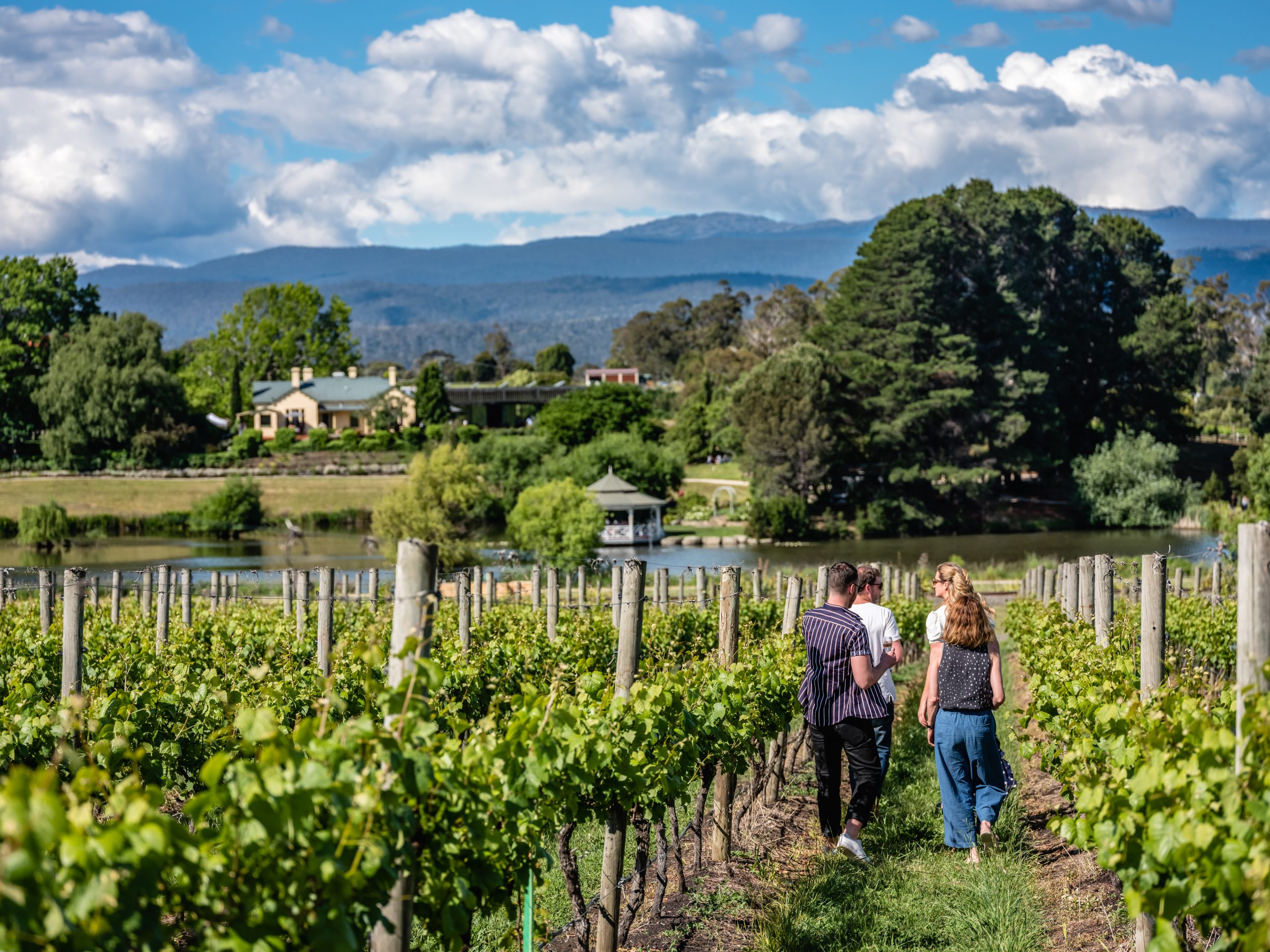 wine tours